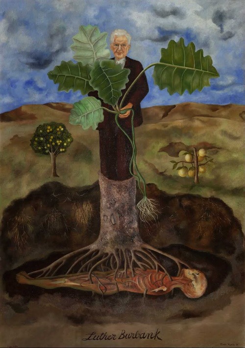 Ritratto di Luther Burbank 1931 Frida Kahlo